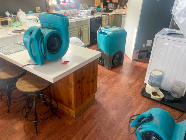 Best Local water damage restoration  in , NJ