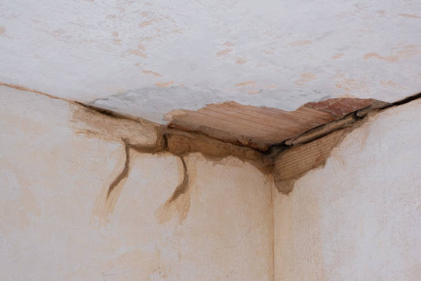 Best Sewage cleanup and water damage restoration  in , NJ