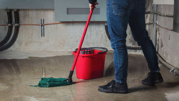 Best Flood restoration services  in , NJ
