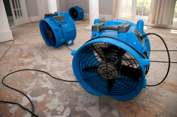 Best Water damage restoration near me  in , NJ