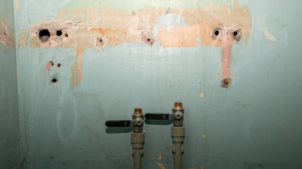 Best Carpet water damage restoration  in , NJ