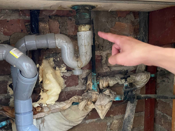 Best 24-hour water damage restoration  in , NJ